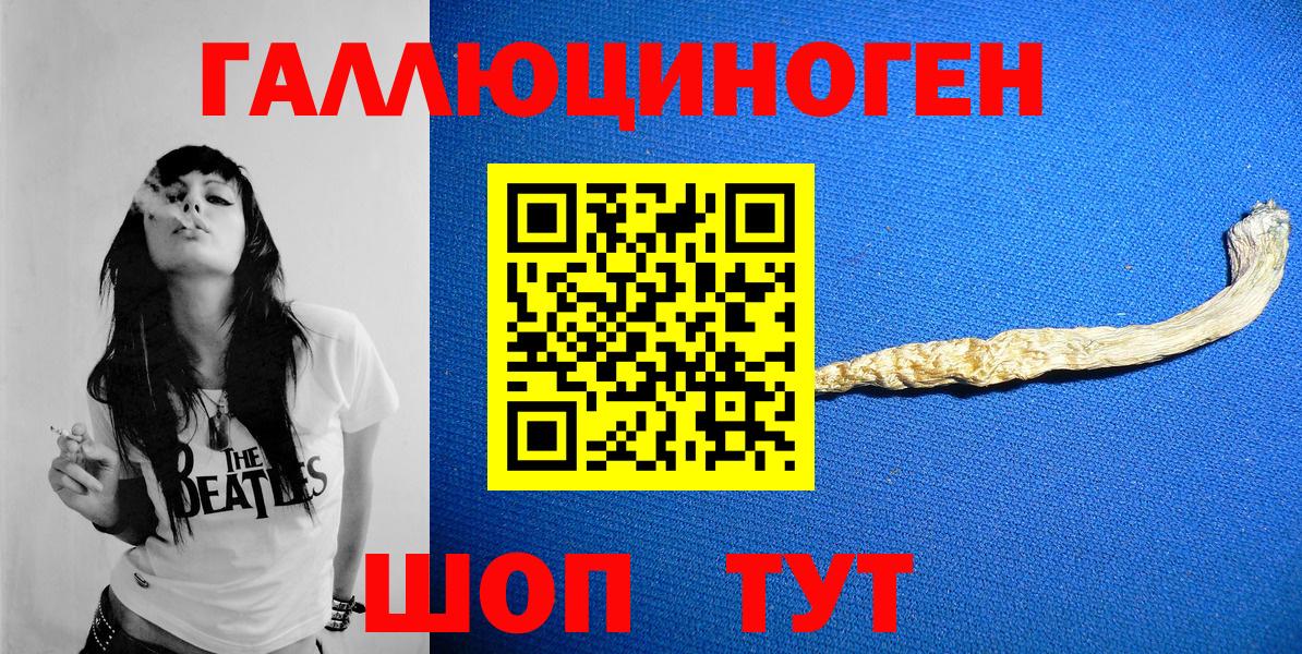 Каспийск  Псилоцибиновые грибы Psilocybine cubensis  Вход с VPN 